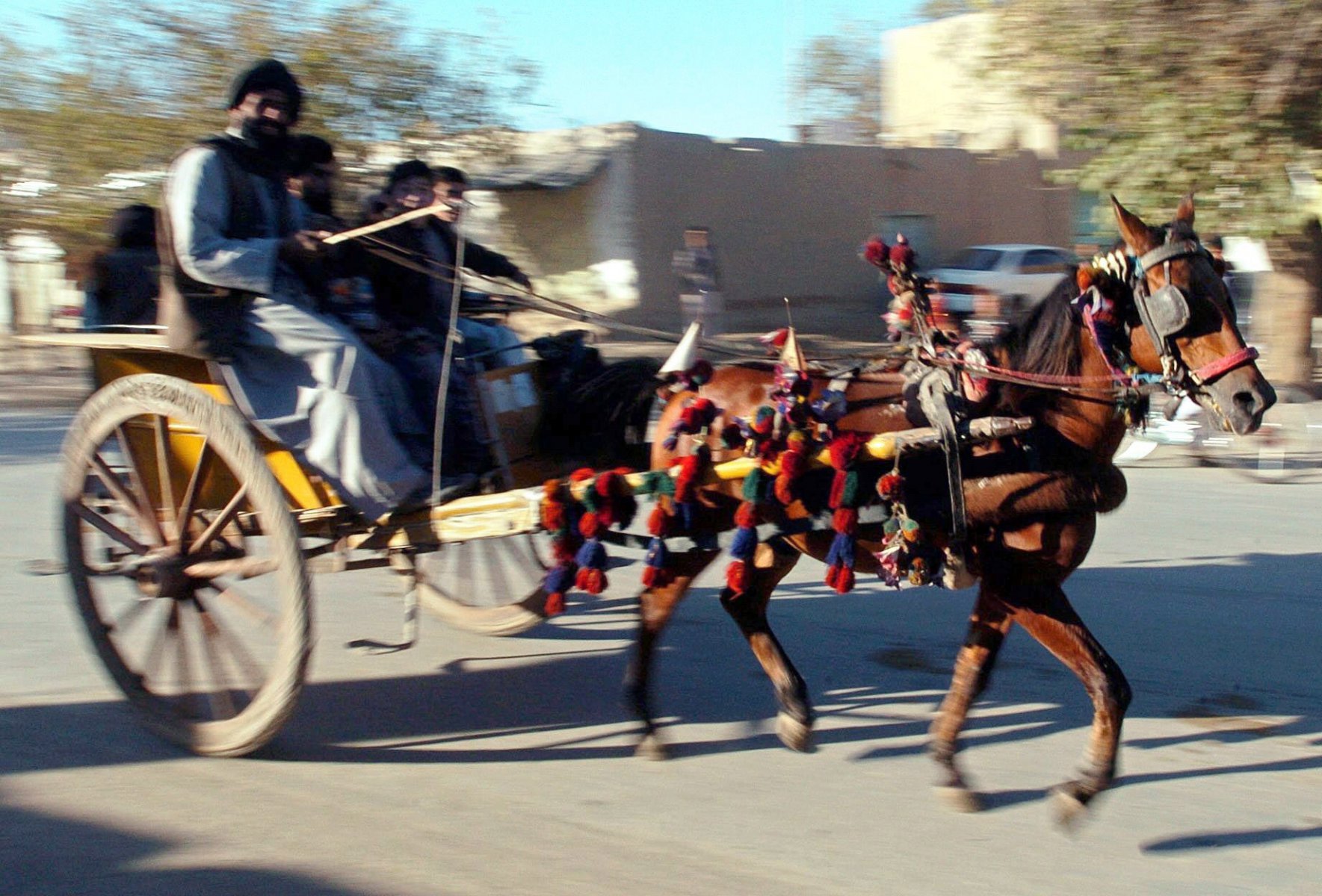 A man in a horse-driven cart drives at full speed along a street in Kundus, Afghanistan. Photo: Boris Roessler/dpa