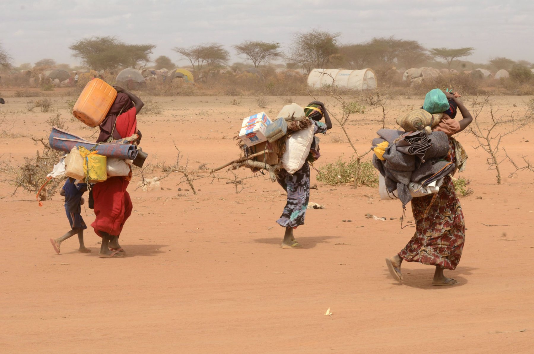 Carrying all their belongings these refugees move to a refugee camp in Dadaab, northeastern Kenya on thursday, August 4, 2011. Somalia and parts of Kenya have been struck by one of the worst draughts and famines in six decades, more than 350.000 refugees have found shelter in the worlds biggest refugee camp. Photo: Boris Roessler dpa  +++(c) dpa - Bildfunk+++