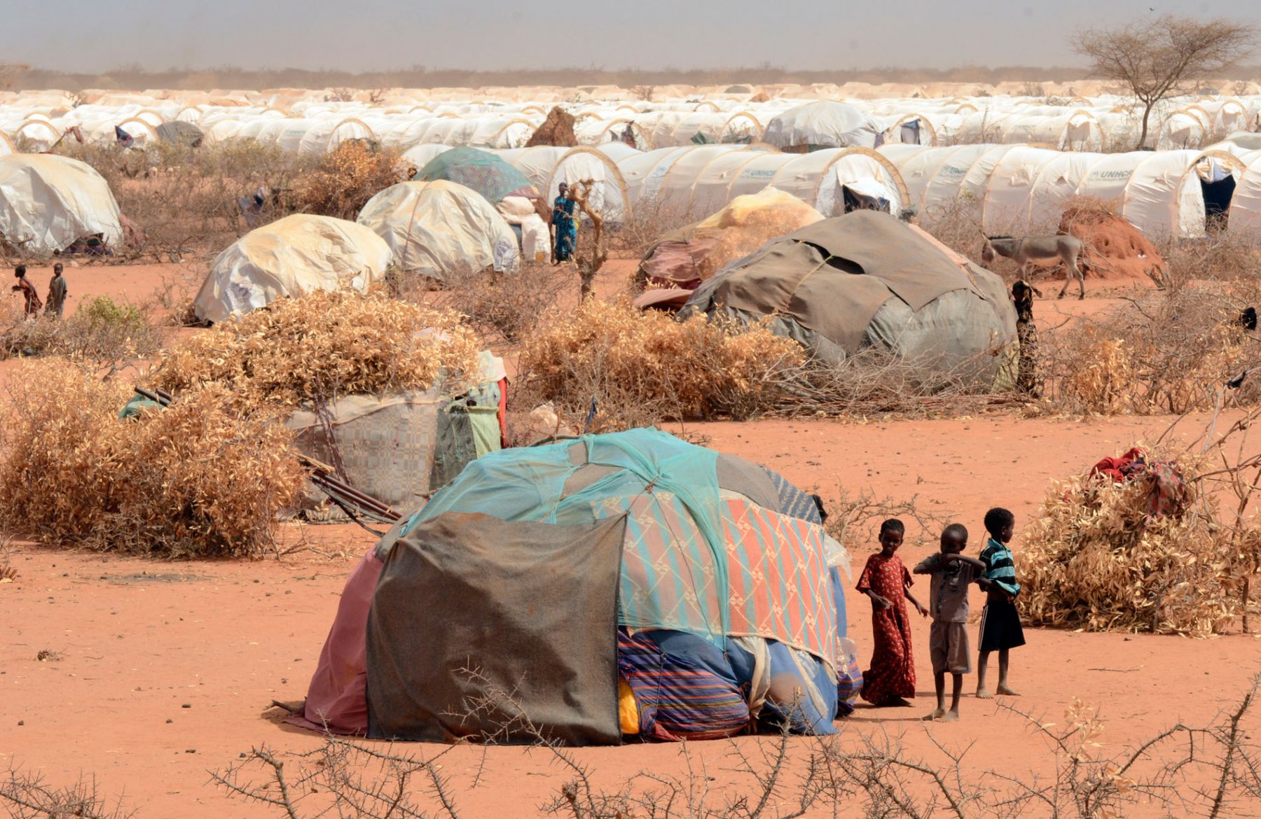 Thousands of tents are forming one out of three refugee camps in Dadaab, northeastern Kenya on thursday, August 4, 2011. Somalia and parts of Kenya have been struck by one of the worst draughts and famines in six decades, more than 350.000 refugees have found shelter in the worlds biggest refugee camp. Photo: Boris Roessler dpa