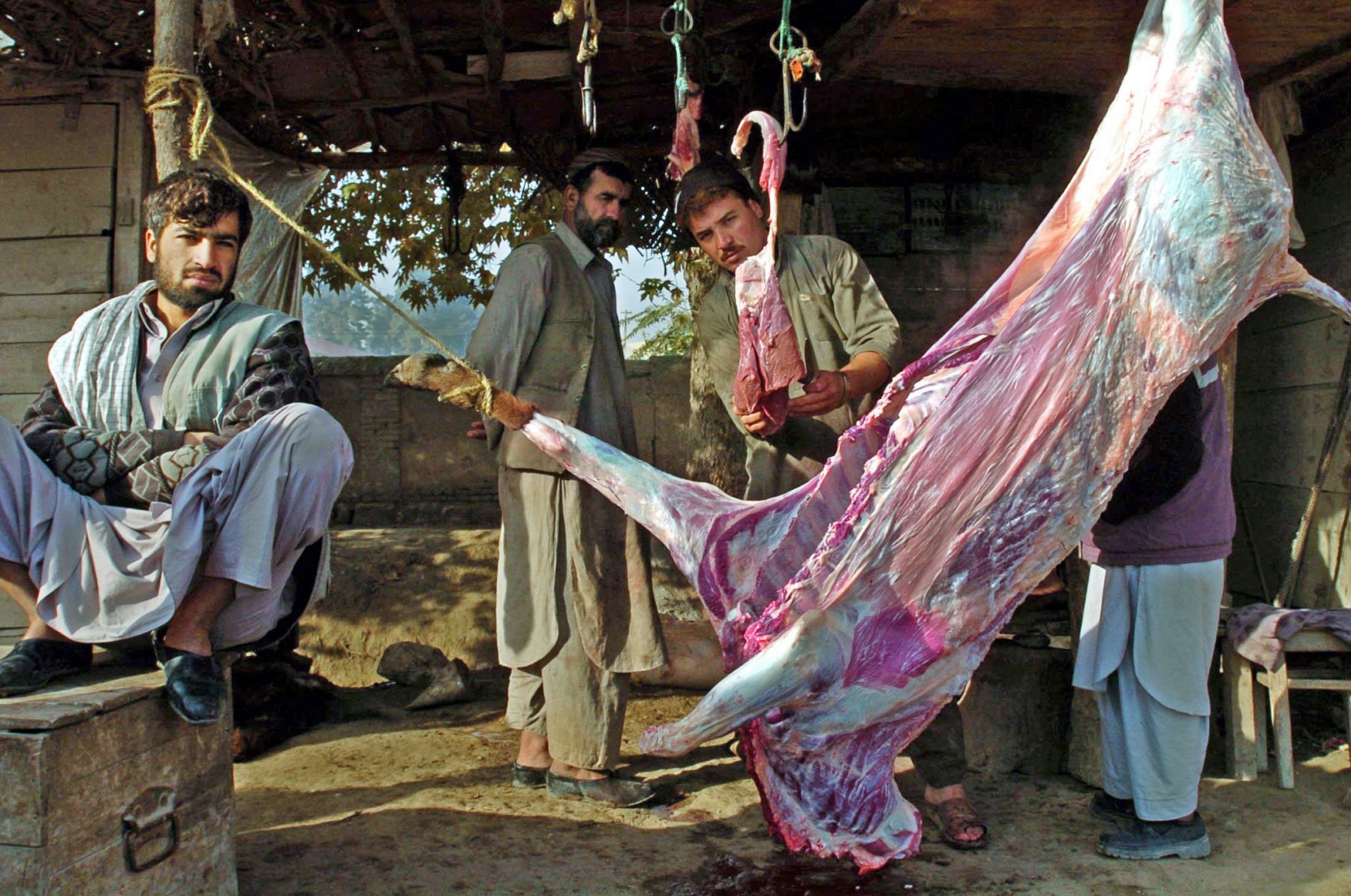 Butchers hung up a freshly slaughtered calf for carving, on a market in Kundus, Afghanistan. Lacking hygiene in the food sector and contaminated water are the main causes for the spreading of illnesses and diseases among the civilian population in Afghanistan. Photo: Boris Roessler/dpa