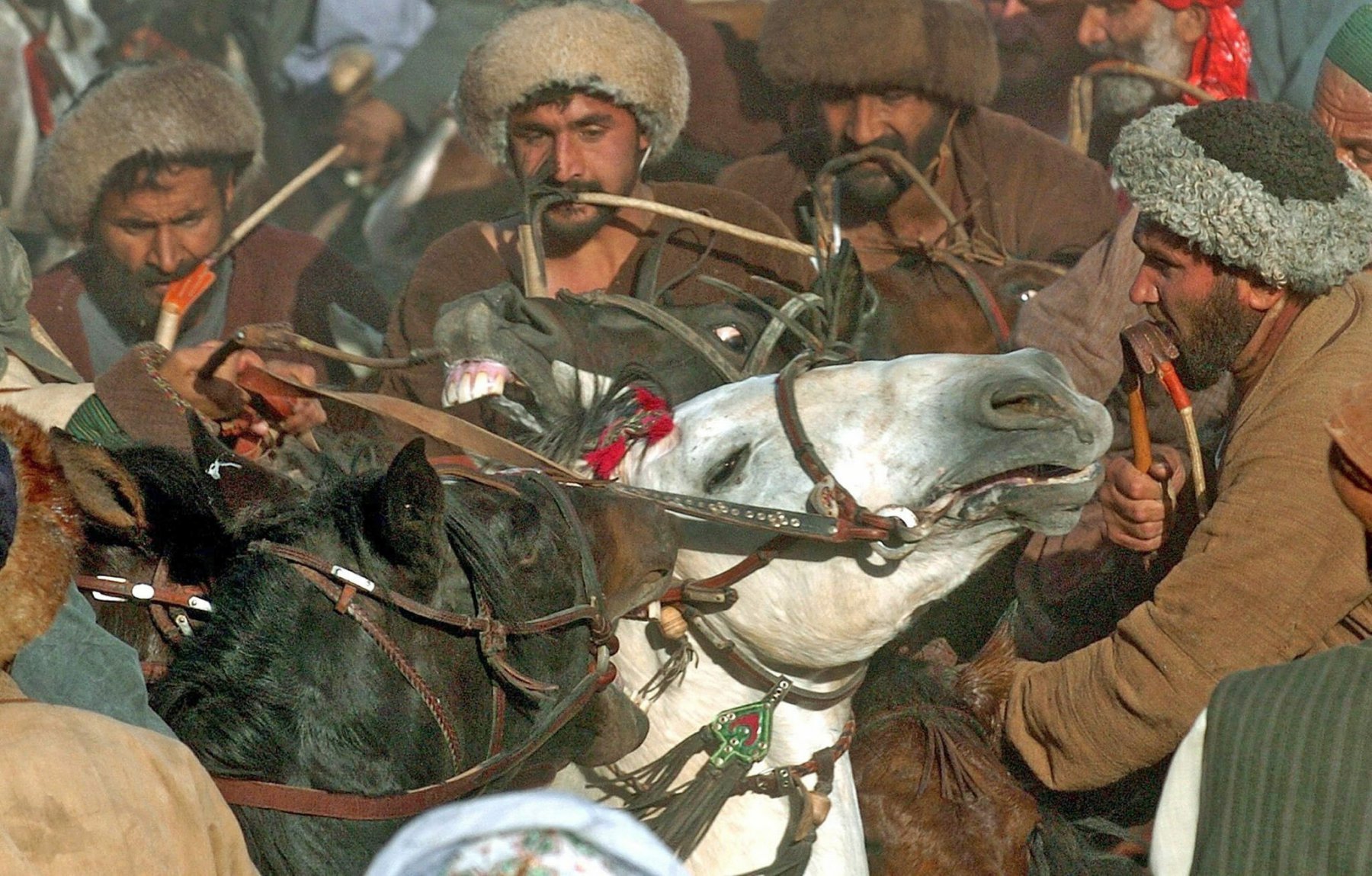 Afghan horsemen take part in the traditionally Buzkashi game in Kundus, Afghanistan. The ancient game of Buzkashi has been played in northern Afghanistan since the days of Ghengis Khan, the Mongol warrior whose army swept across Asia in the 13th century. It is a fierce game of competition played on the steppes of Asia by expert horsemen. As a rule, women are not allowed to watch. Photo: Boris Roessler/dpa