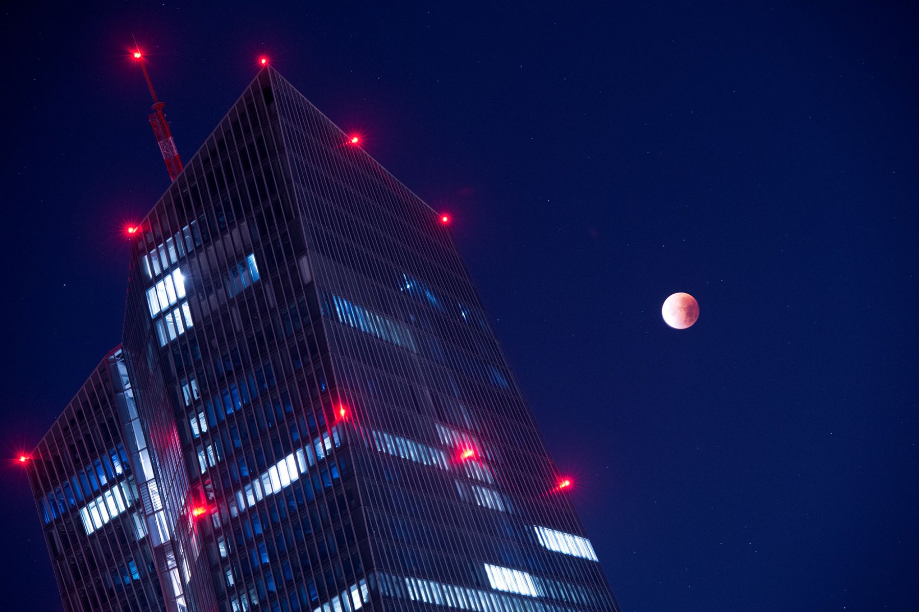 Der "Blutmond" leuchtet im September neben dem Hochhaus der EZB in Frankfurt. Foto: Boris Roessler/dpa